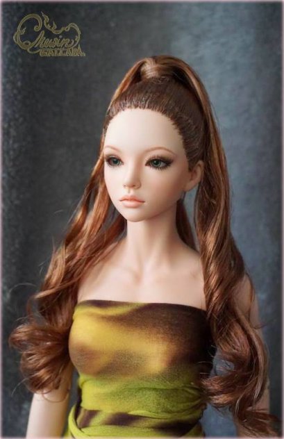 High Ponytail wig